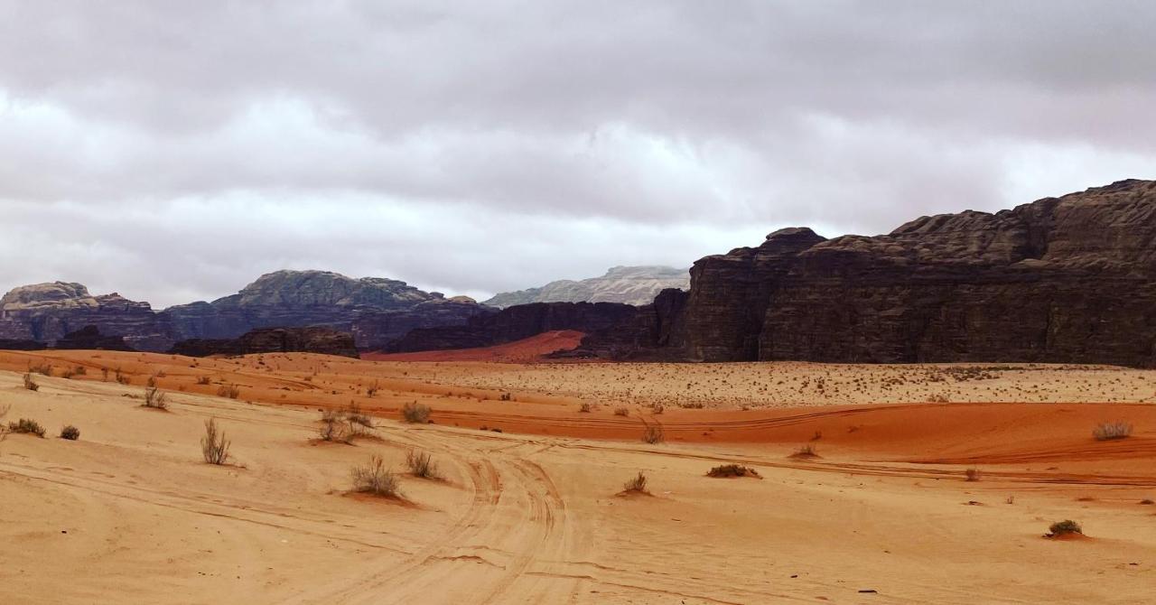 Wadirumtours&Camp Wadi Rum Exterior foto